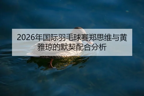 nian-guo-ji-yu-mao-qiu-sai-zheng-si-wei-yu-huang-ya-qiong-de-mo-qi-pei-he-fen-xi-2-336.jpg