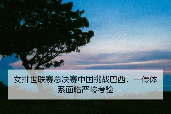 nv-pai-shi-lian-sai-zong-jue-sai-zhong-guo-tiao-zhan-ba-xi-yi-chuan-ti-xi-mian-lin-yan-jun-kao-yan-2-668.jpg