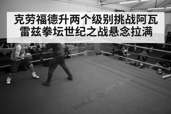 boxer training gym